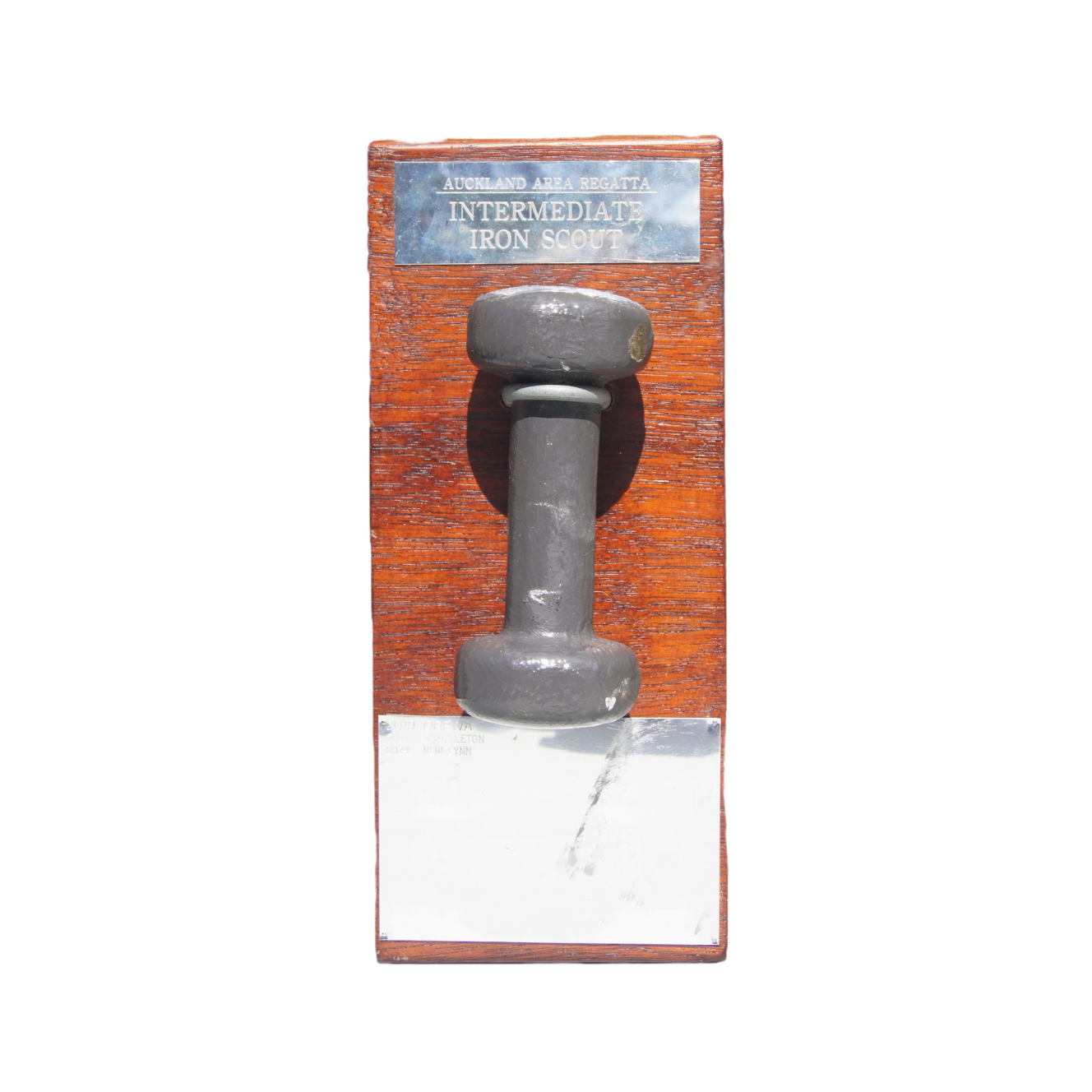 Intermediate Iron Scout