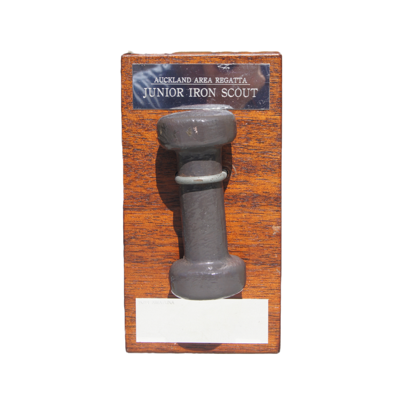 Junior Iron Scout