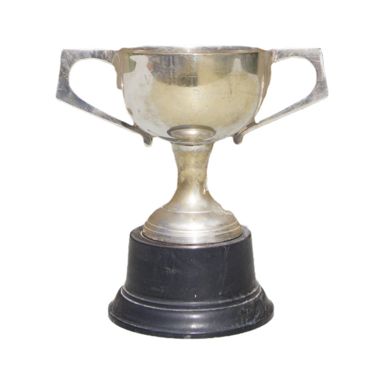 Vindictive Cup